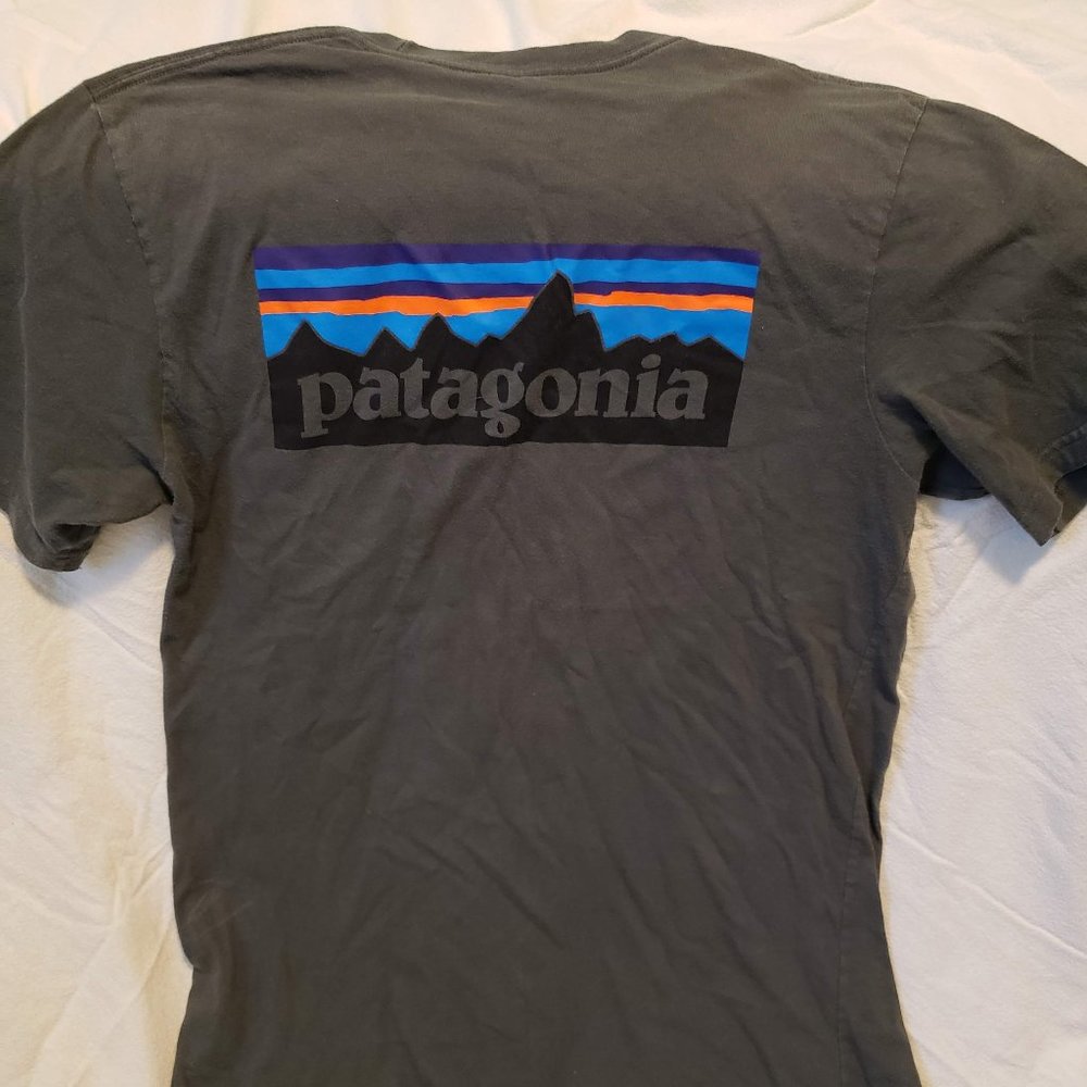 Men's Gray Patagonia pocket Tshirt-Vibrant Color Logo on back - Sz Med